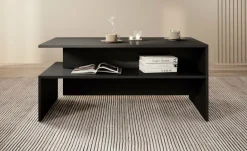 Antrix^Meubella Best